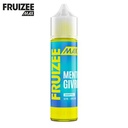 Menthe Givrée 50ml - Fruizee Max by Fruizee.jpg