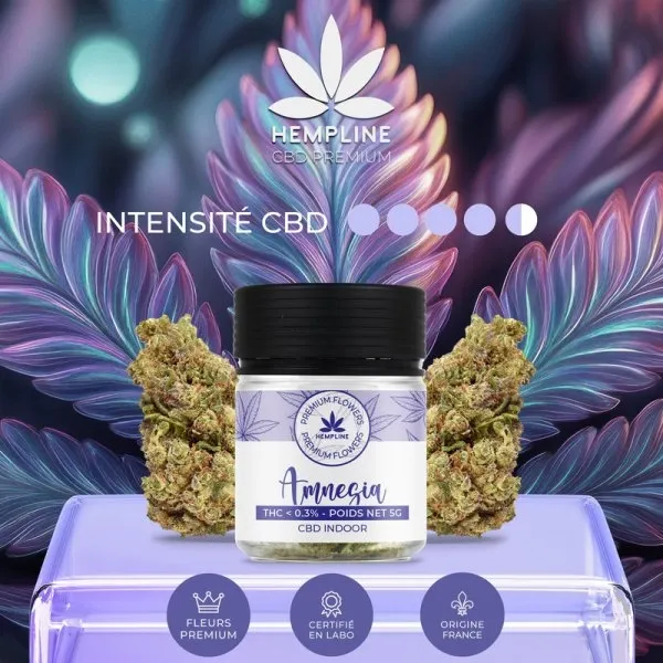 amnesia-fleur-de-cbd-5g-hempline (1).webp