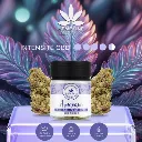 amnesia-fleur-de-cbd-5g-hempline (1).webp