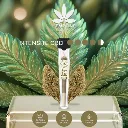 lemon-haze-pre-roll-1g-hempline (3).webp