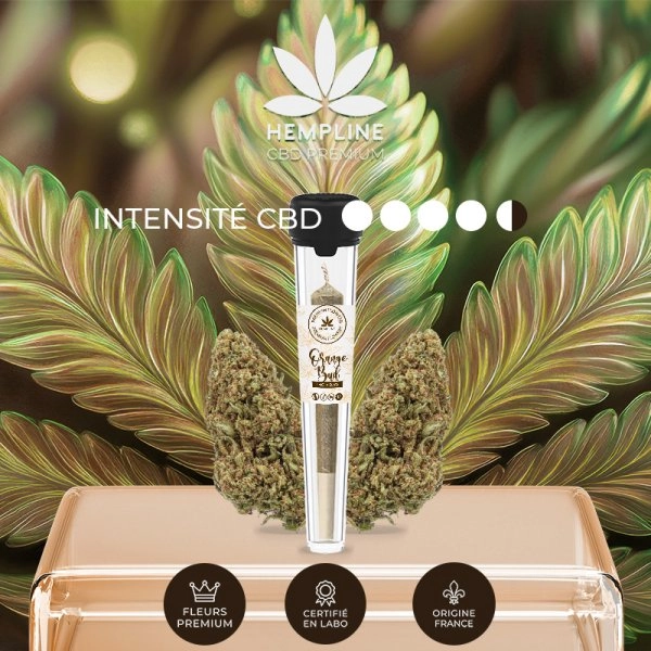 orange-buds-pre-roll-1g-hempline (3).webp