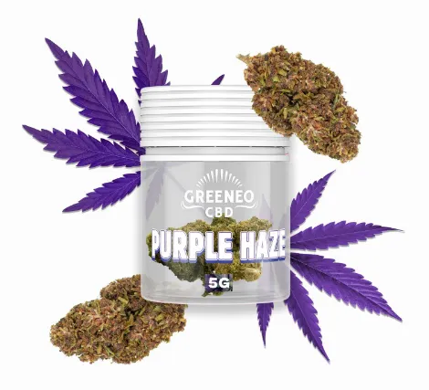 Purple haze  fleur 10,5% CBD 5g