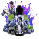 POTION TESLA (RAISIN/CASSIS/MYRTILLE) 0MG 100ML - TRIBAL FORCE