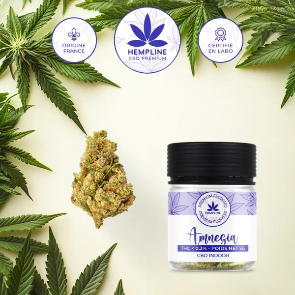 Amnésia Fleur de CBD (5g) - Hempline