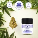 Amnésia Fleur de CBD (5g) - Hempline