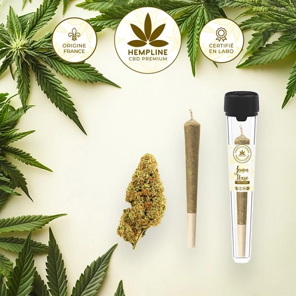 Lemon Haze Pre-roll (1g) - Hempline