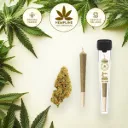 Lemon Haze Pre-roll (1g) - Hempline