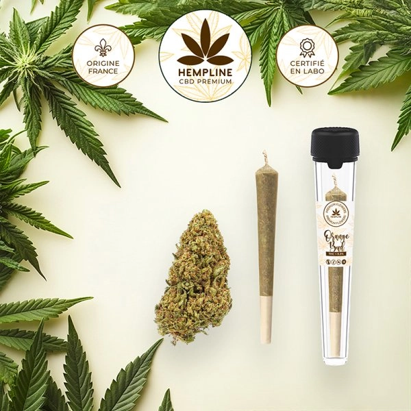 Orange Buds Pre-roll (1g) - Hempline