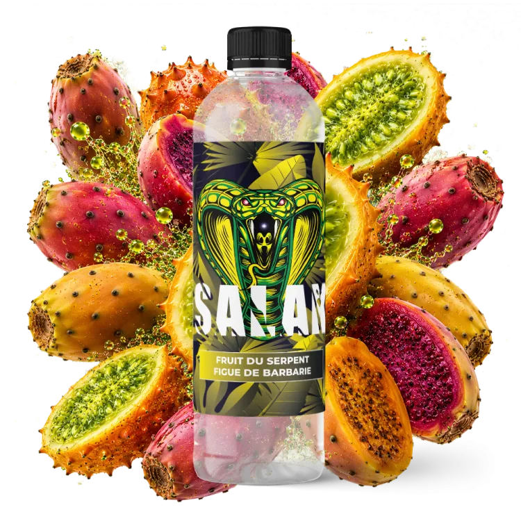 FRUIT DU SERPENT FIGUE DE BARBARIE - 1 LITRE - SALAK