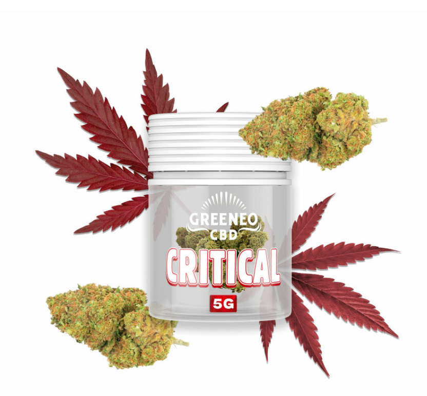 Critical fleur 13% CBD  5g 
