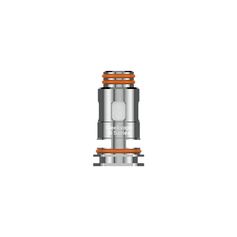PACK DE 5 RÉSISTANCES B coil AEGIS BOOST GEEKVAPE (0,4 Ohm)